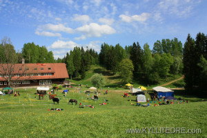 haanjamaa2012_gallery_add_060